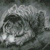 Black And White Tiger And Skull Art Diamond Painting