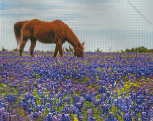 Bluebonnets And Brown Horse Diamond Painting