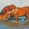 Brown Horses Drinking Water Diamond Painting