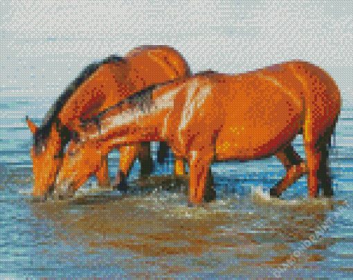 Brown Horses Drinking Water Diamond Painting