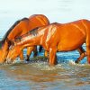 Brown Horses Drinking Water Diamond Painting