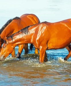 Brown Horses Drinking Water Diamond Painting