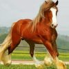 Brown Clydesdale Diamond Painting