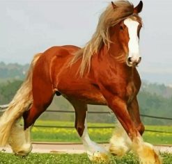 Brown Clydesdale Diamond Painting