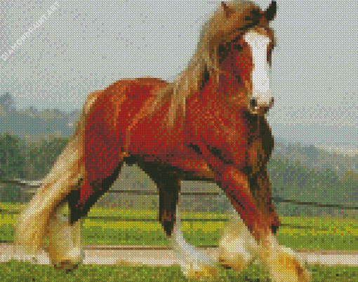 Brown Clydesdale Diamond Painting