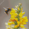 Bumble Bee And Yellow Flower Diamond Painting