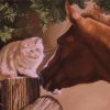 Cat And Horse Friends Art Diamond Painting