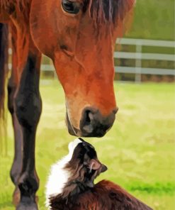 Cat And Horse In Farm Diamond Painting