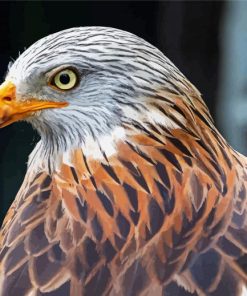 Close Up Red Kite Diamond Painting