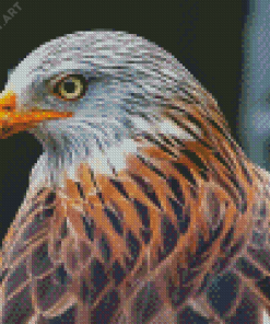 Close Up Red Kite Diamond Painting