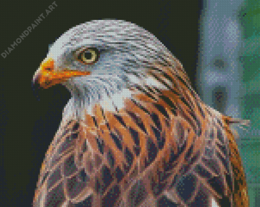 Close Up Red Kite Diamond Painting