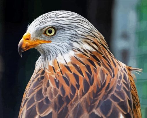 Close Up Red Kite Diamond Painting