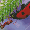 Close Up Ant And Ladybug Diamond Painting