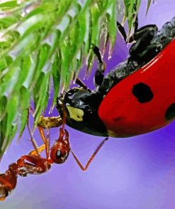 Close Up Ant And Ladybug Diamond Painting