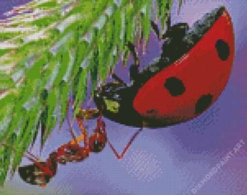 Close Up Ant And Ladybug Diamond Painting