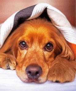 Cocker Dog With Blanket Diamond painting