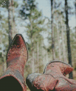 Cowboy Boots In Forest Diamond Painting