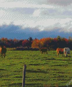 Cows Fall Scene Diamond Painting