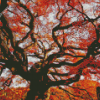 Fall Old Growth Tree Diamond Painting