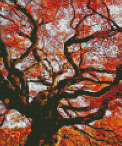 Fall Old Growth Tree Diamond Painting