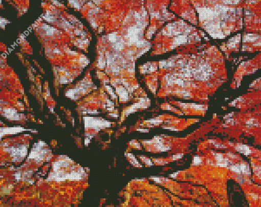 Fall Old Growth Tree Diamond Painting