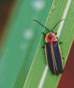 Firefly Diamond Painting