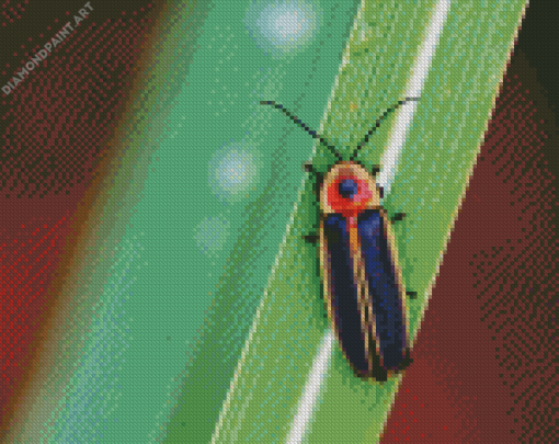 Firefly Diamond Painting