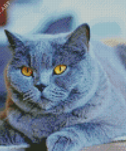 Fluffy Grey Cat Diamond Painting