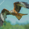 Flying Red Kite Bird Diamond Painting