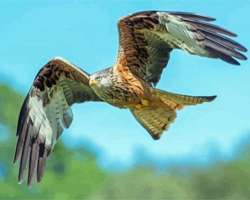 Flying Red Kite Bird Diamond Painting