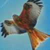 Flying Red Kite Diamond Painting