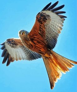 Flying Red Kite Diamond Painting