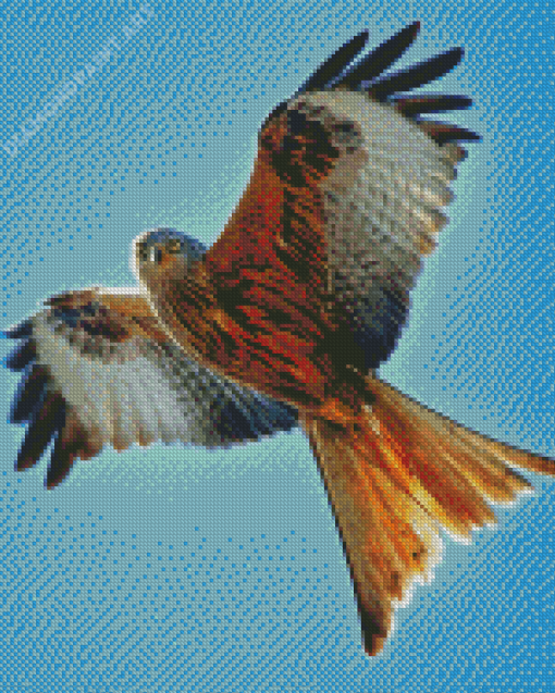 Flying Red Kite Diamond Painting