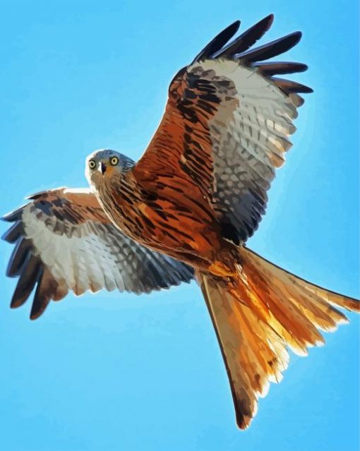 Flying Red Kite Diamond Painting