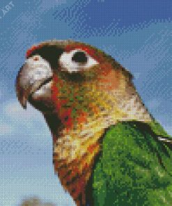 Green Cheeked Parakeet Face Diamond Painting