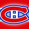 VHabs Logo Diamond Painting