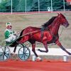 Harness Racing Diamond Painting