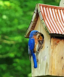 House And Blue Birds In Fence 5D Diamond Painting