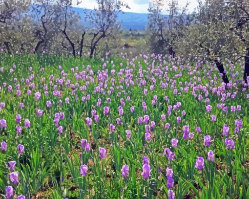 Iris Field Diamond painting