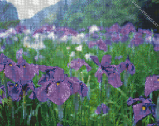 Iris Flower Field Diamond painting