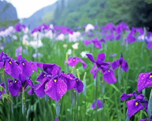 Iris Flower Field Diamond painting