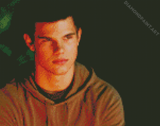 Jacob Black Twilight Character Diamond Painting