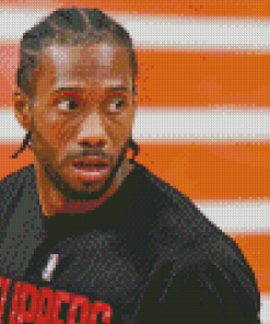 Kawhi Leonard the Players Diamond painting