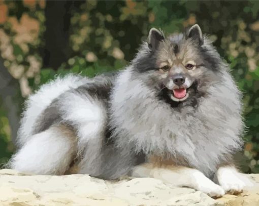 Keeshond Dog Animal Diamond Painting