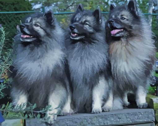 Keeshond Puppies Diamond Painting