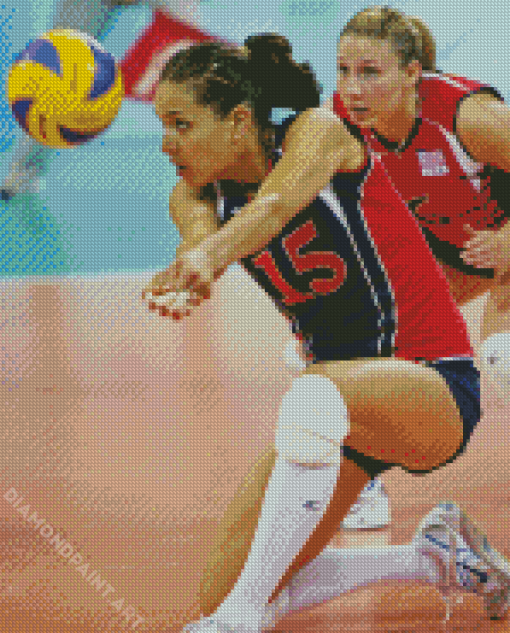 Logan Tom Volleyballer Diamond Painting