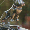 Mack Truck Bulldog Diamond Painting