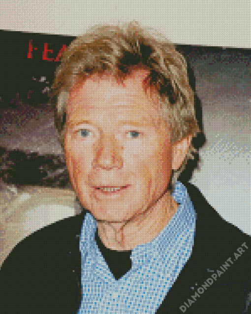 Michael Parks American Actor Diamond Painting