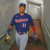 Minnesota Twins Player Diamond painting