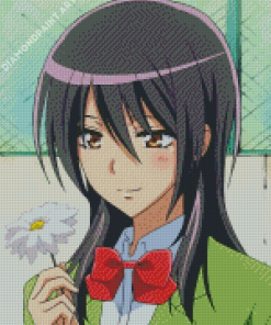 Misaki Ayuzawa Holding Flower Diamond Painting